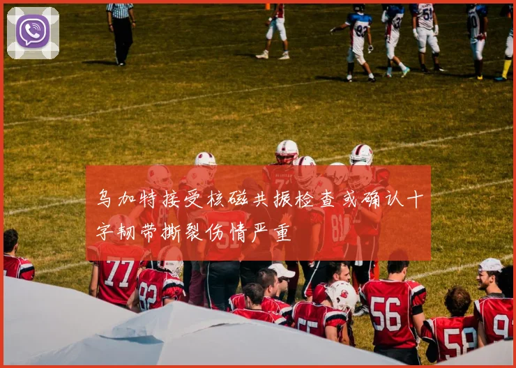 乌加特接受核磁共振检查或确认十字韧带撕裂伤情严重